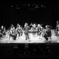 LEstro Armonico String Orchestra web